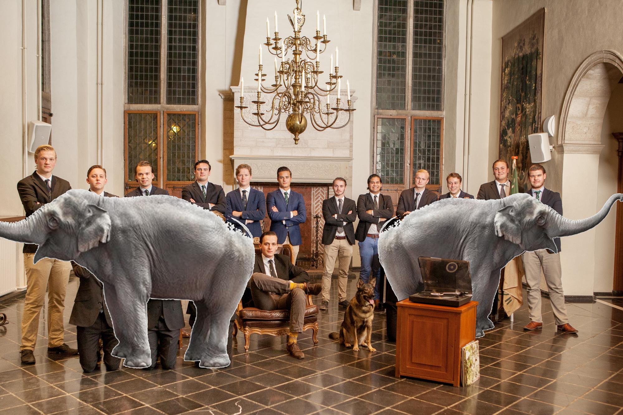 Olifant_2.jpg